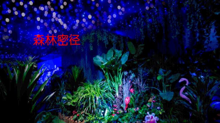 hahabetcom官网星辰大海